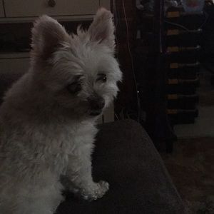 Meet your Posher, Candy